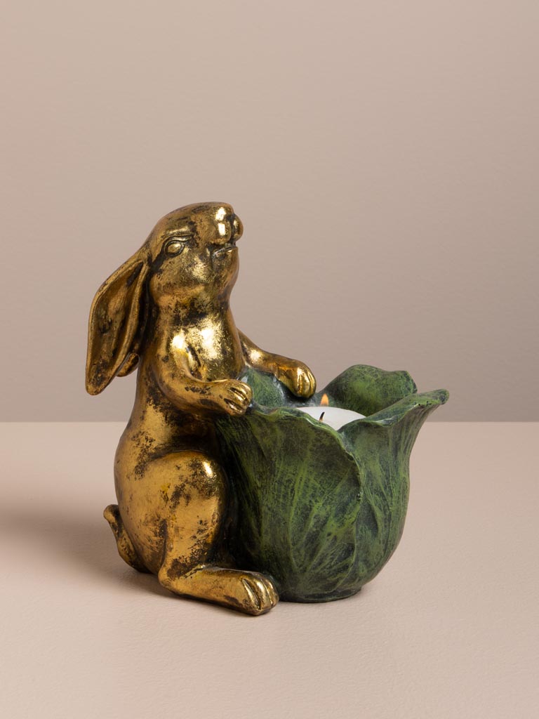 Petit lapin Botanique - 1