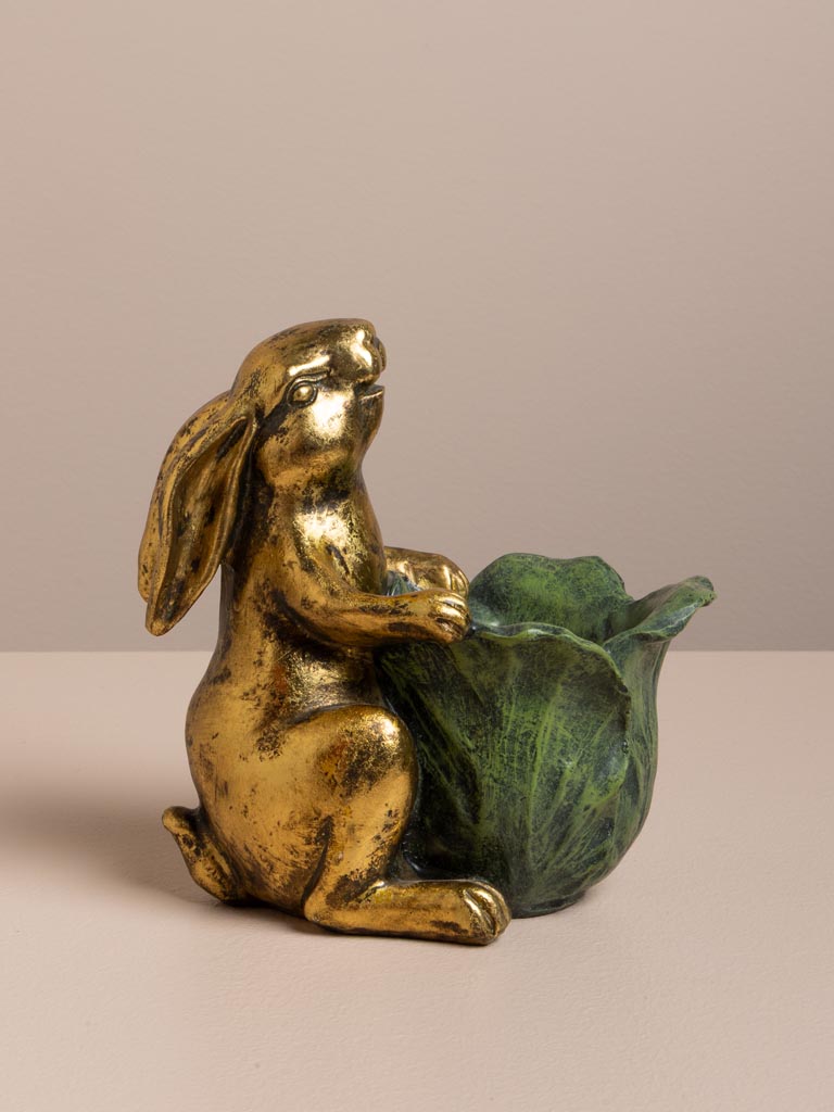 Petit lapin Botanique - 4