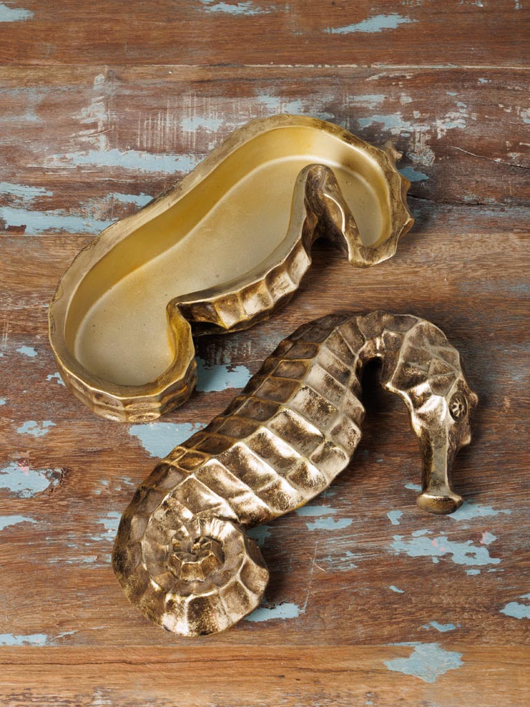 Golden seahorse box - 5