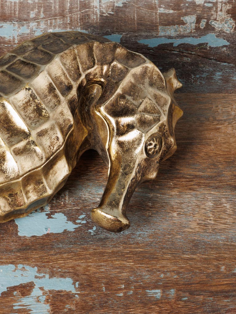 Golden seahorse box - 4