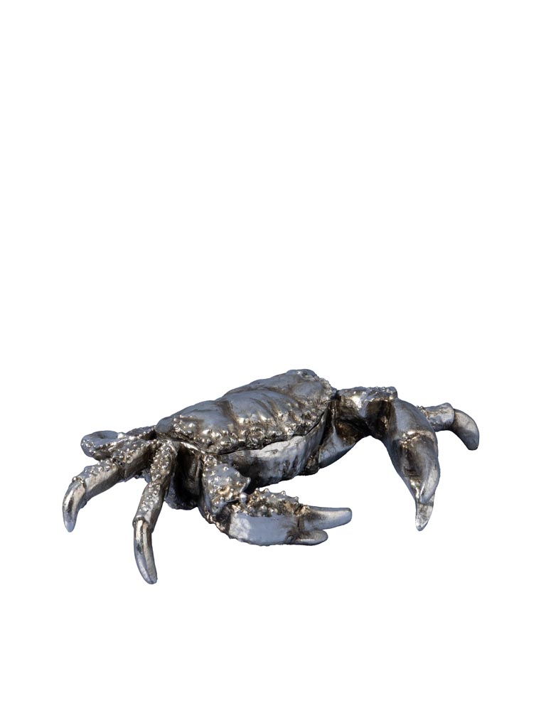Boîte crabe argenté résine - 3