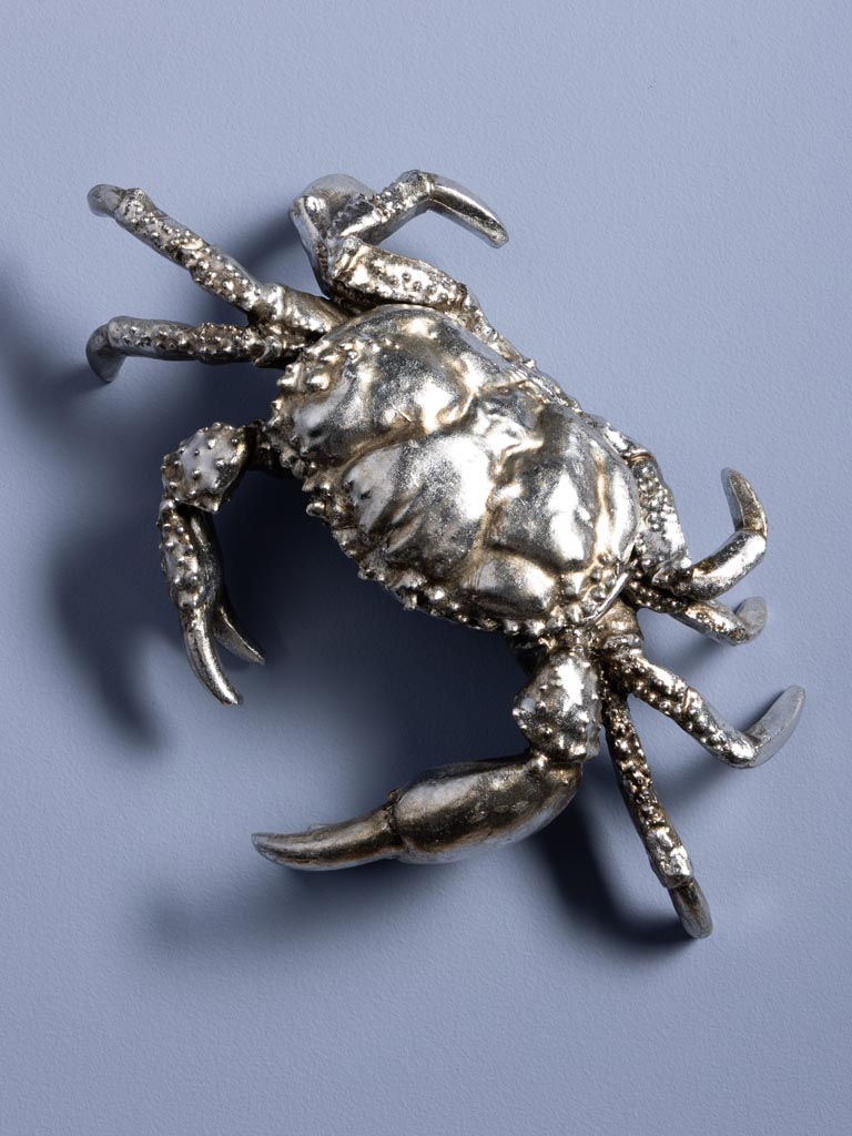 Boîte crabe argenté résine - 7