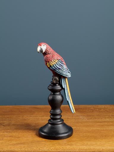 Colored parrot on perch
