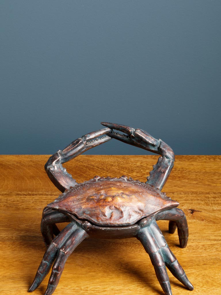 Crab box dark patina in resin - 5