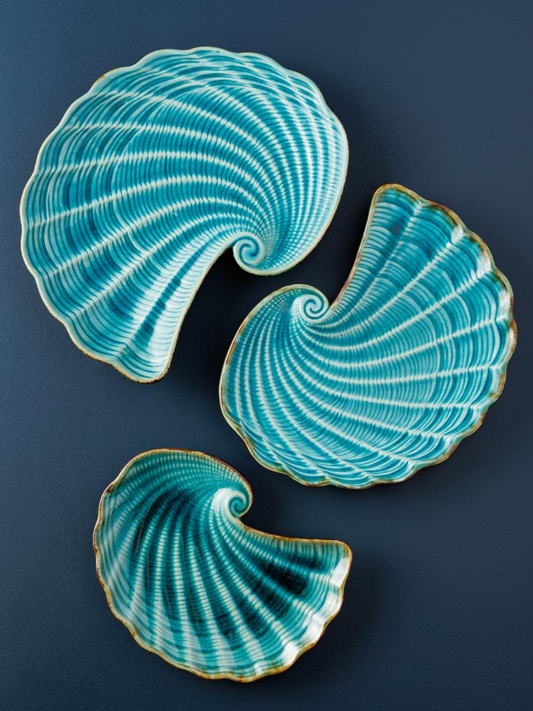 Large dish Aqua shell - 4