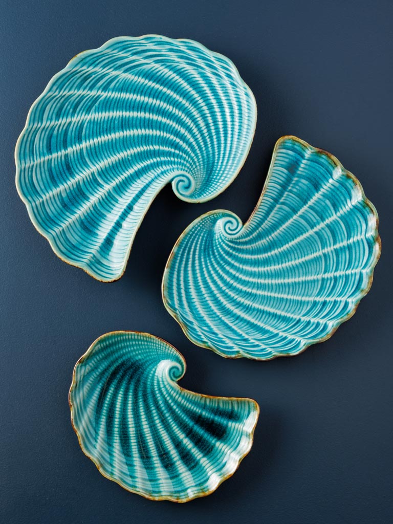 Medium dish Aqua shell - 4