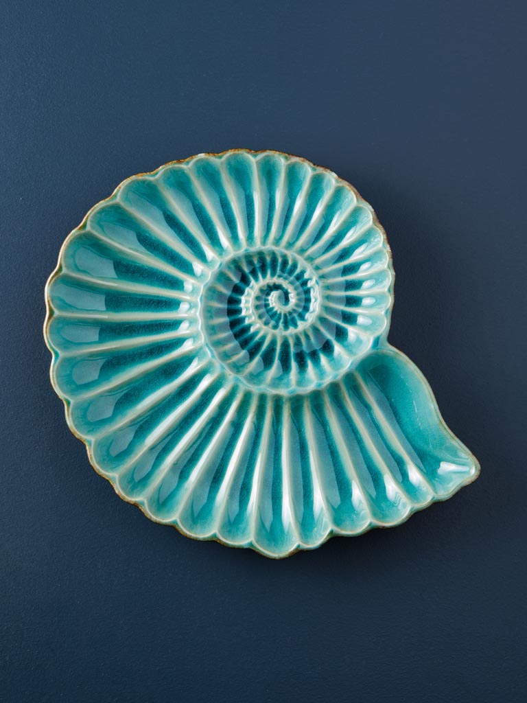 Large dish Aqua round shell - 1