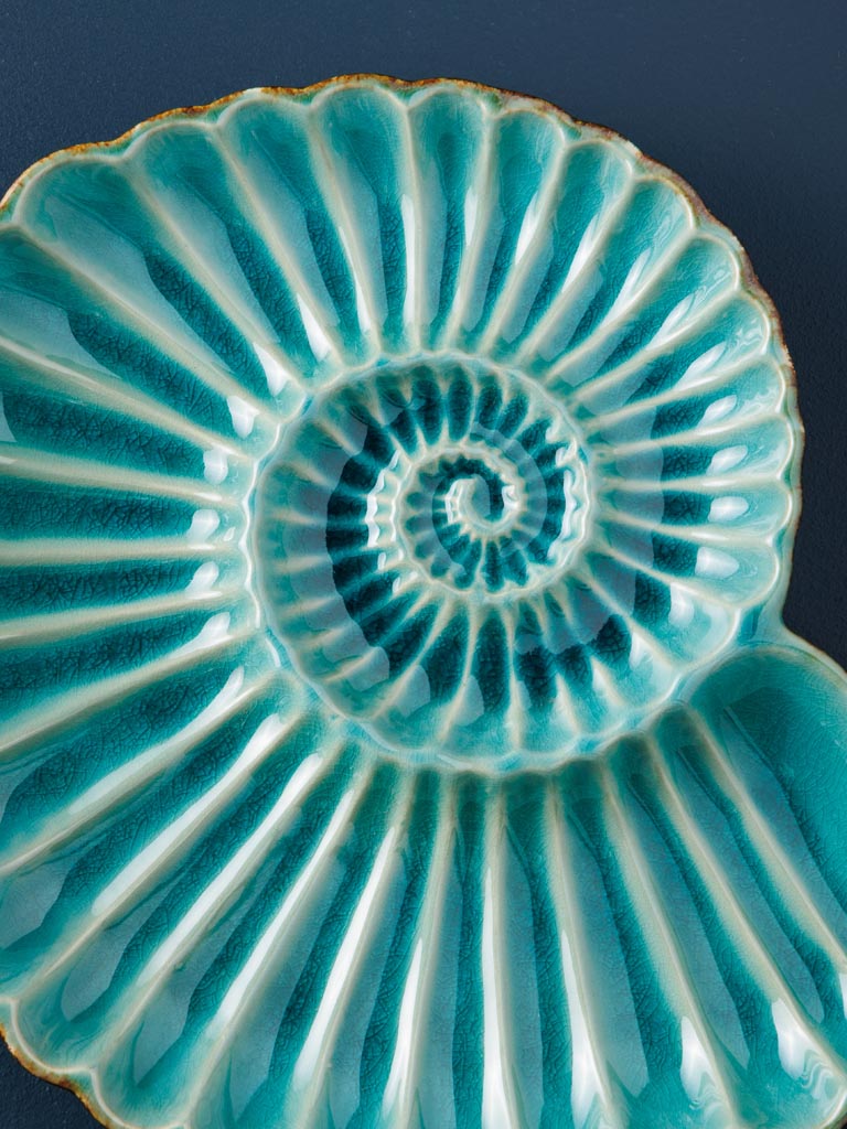 Large dish Aqua round shell - 3
