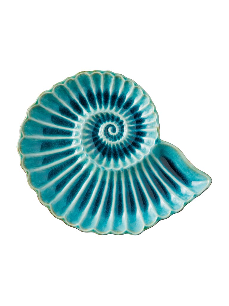 Medium dish Aqua round shell - 2