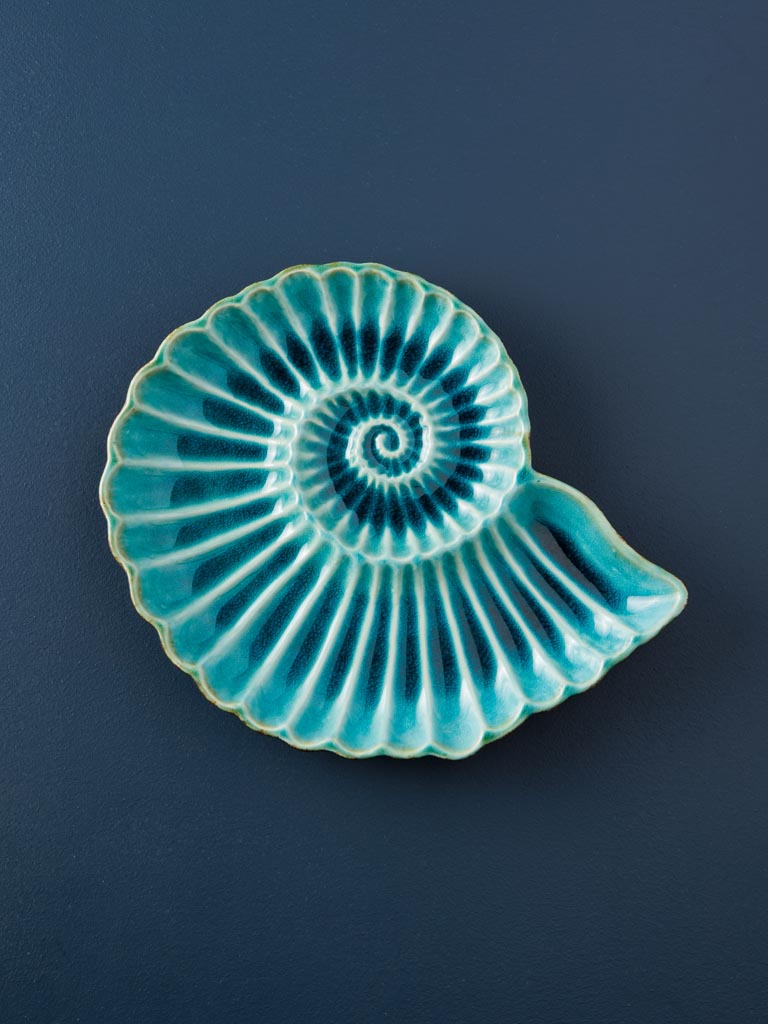 Medium dish Aqua round shell - 1