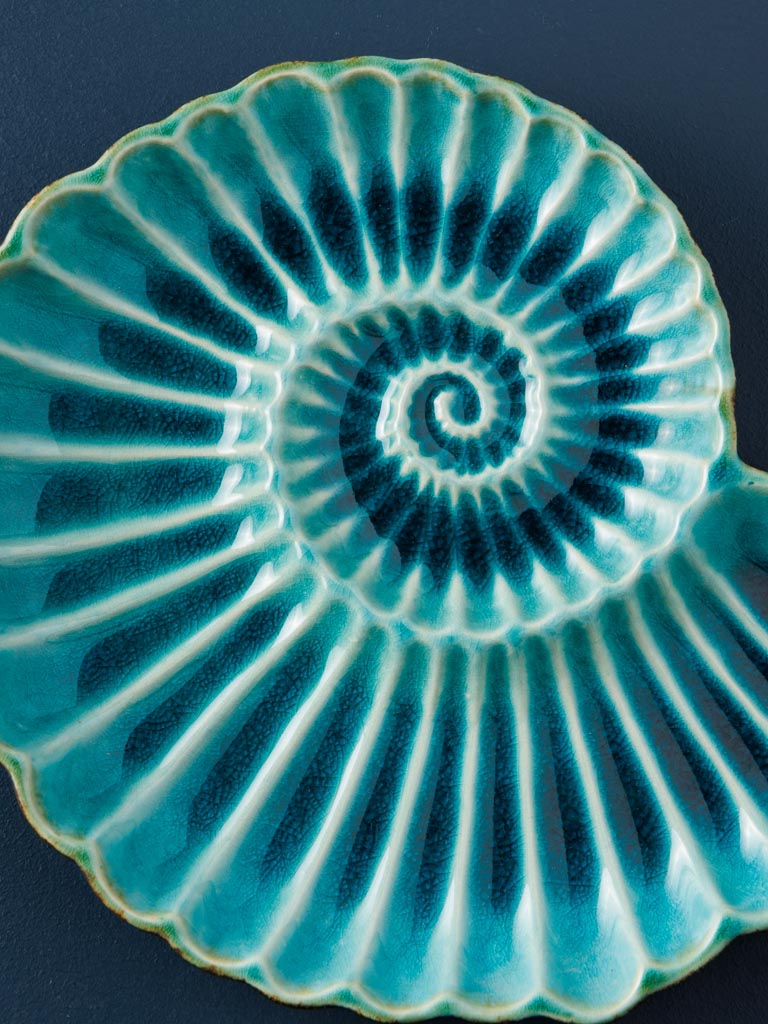 Medium dish Aqua round shell - 3