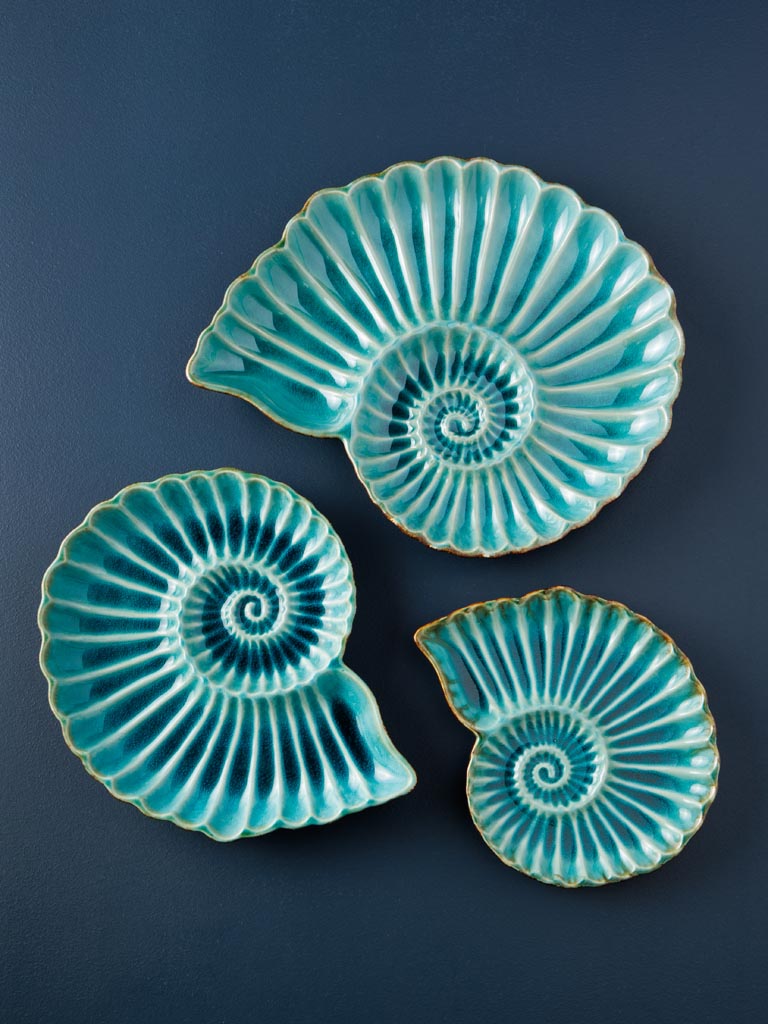 Medium dish Aqua round shell - 4