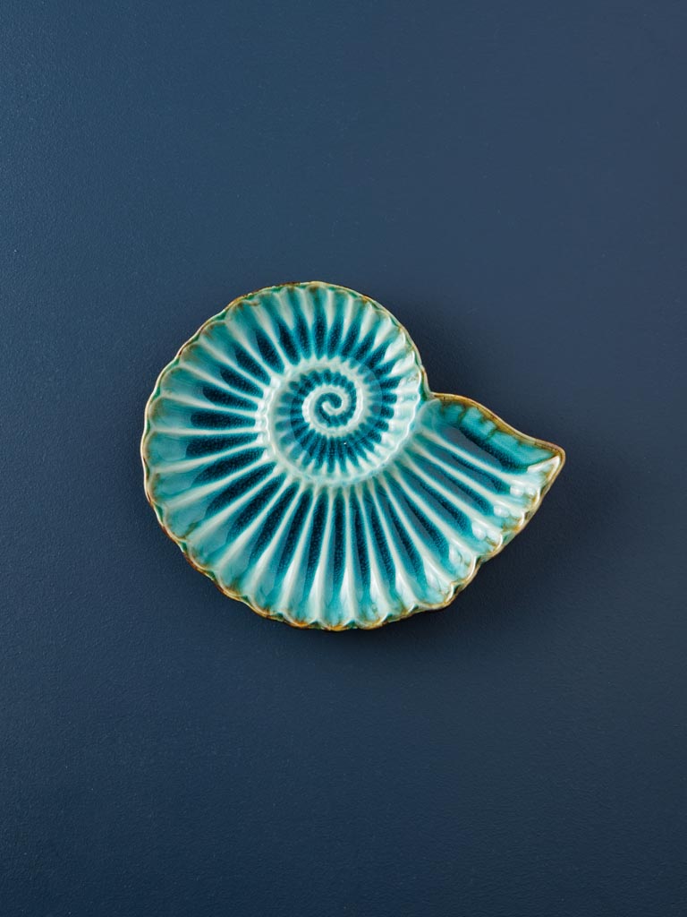 Small dish Aqua round shell - 1