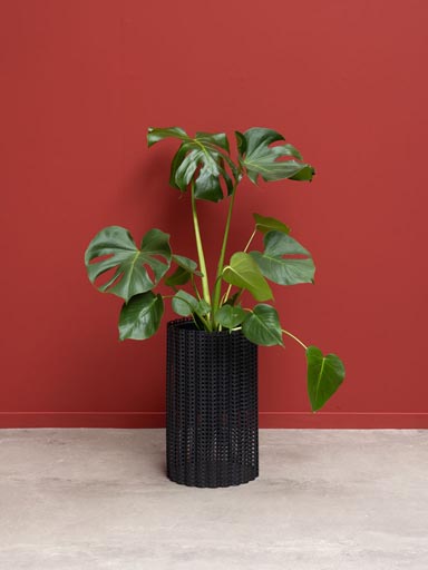 Black braided planter
