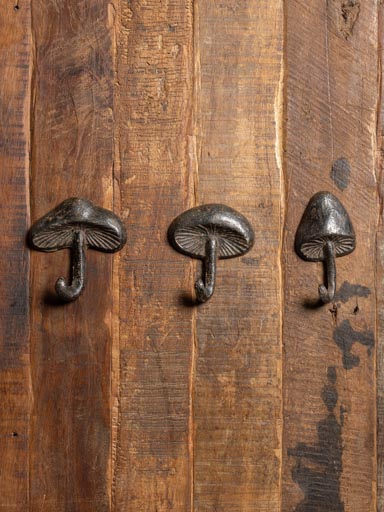 S/3 mushrooms hooks cast iron