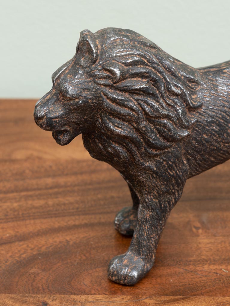 Lion in cast iron - 4