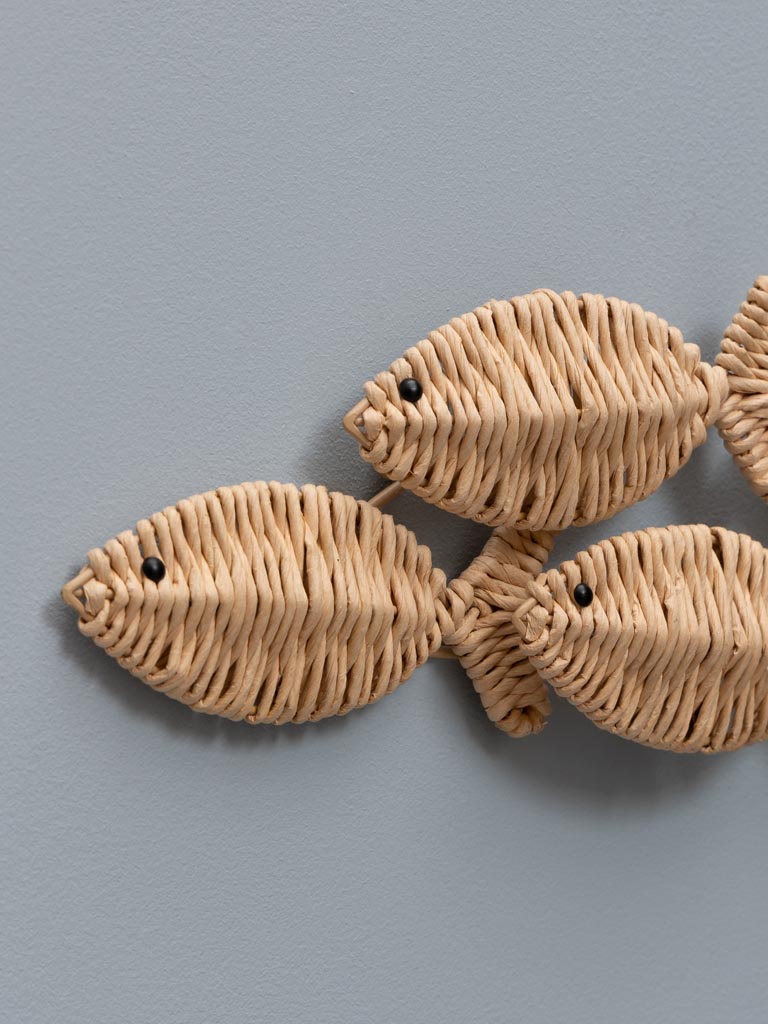 Small shoal of fishes - 3