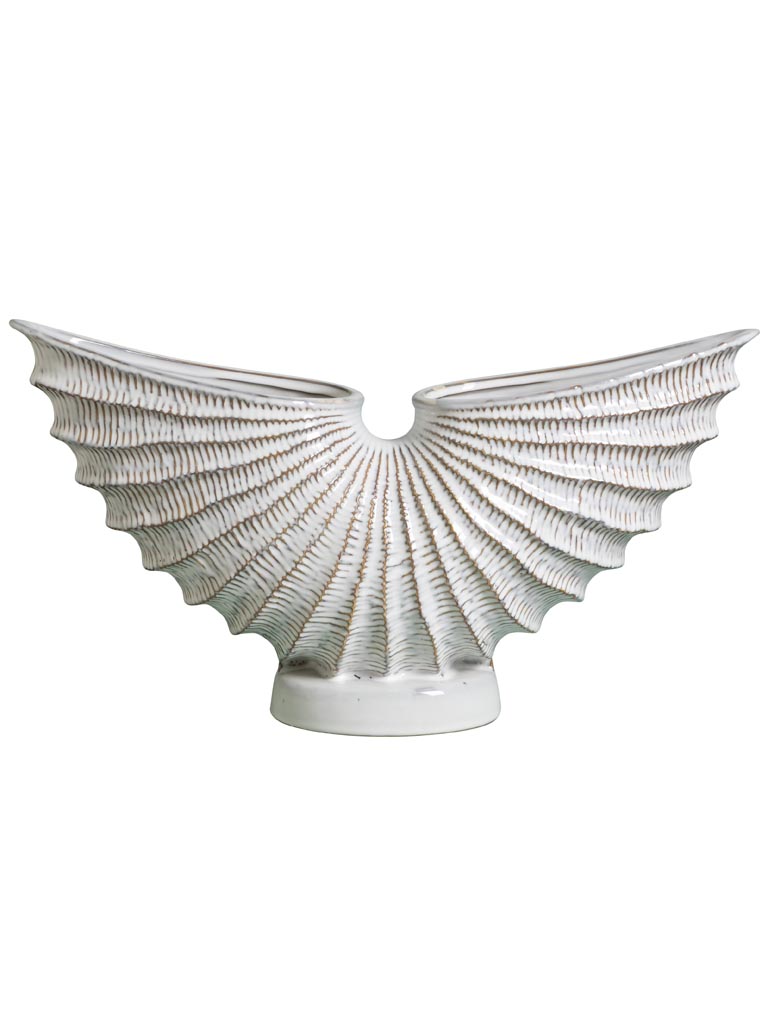 Vase Pecten Eventail - 2