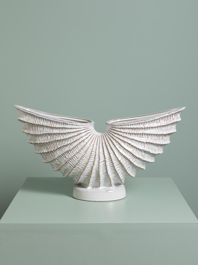 Vase Pecten Eventail - 1