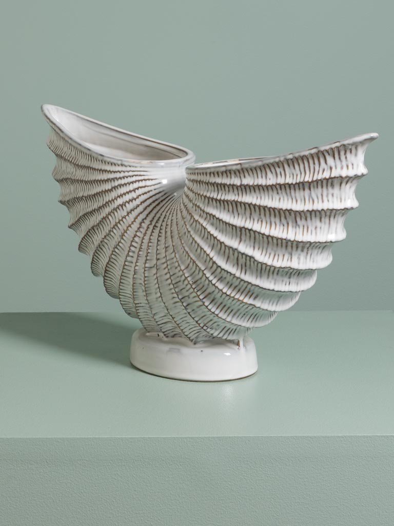Vase Pecten Eventail - 3