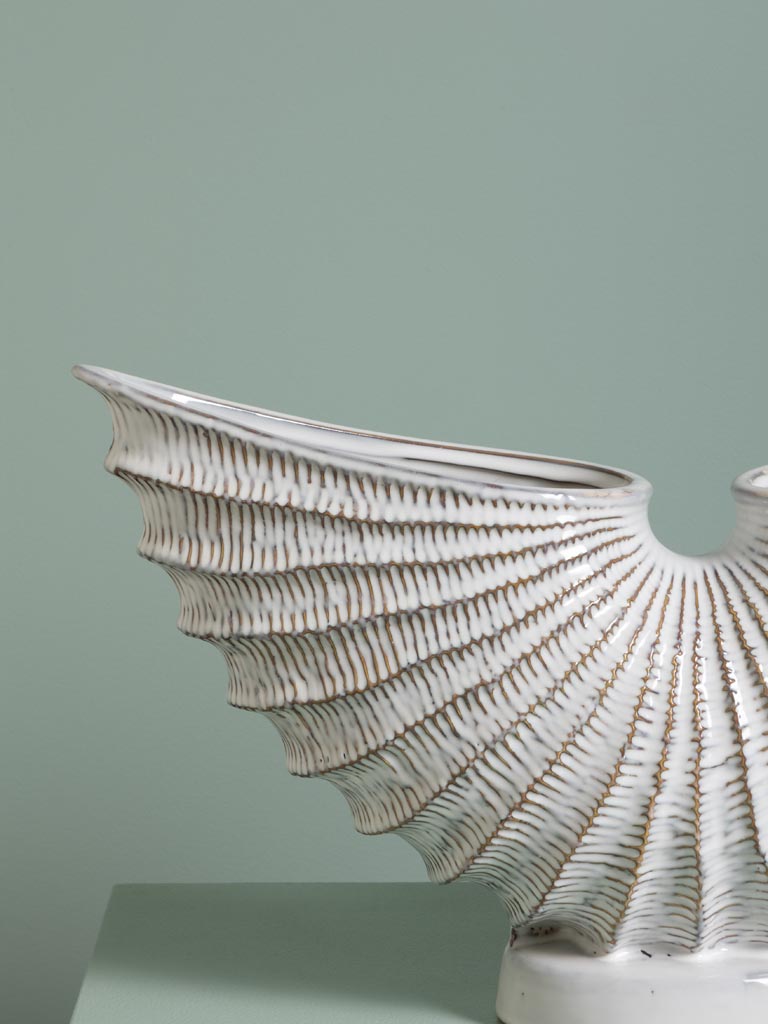 Vase Pecten Eventail - 4