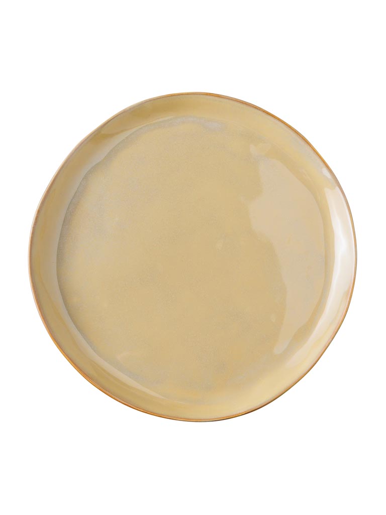 Dinner plate Aromatic - 2