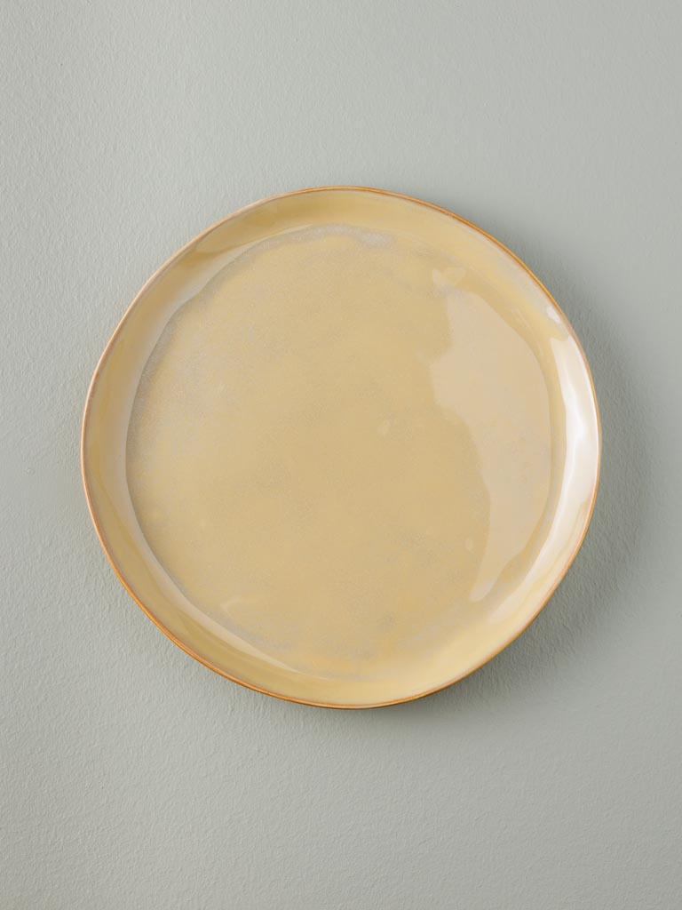 Dinner plate Aromatic - 1
