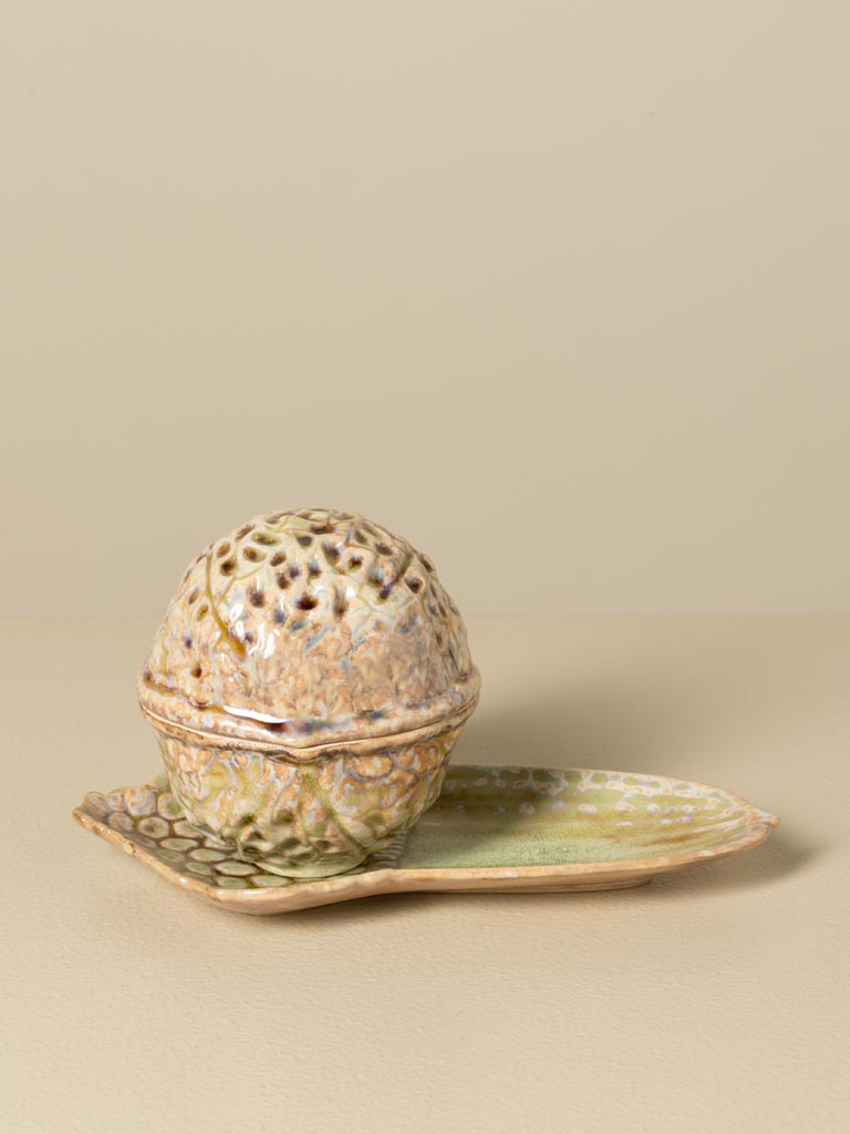 S/2 nut box and acorn plate - 5