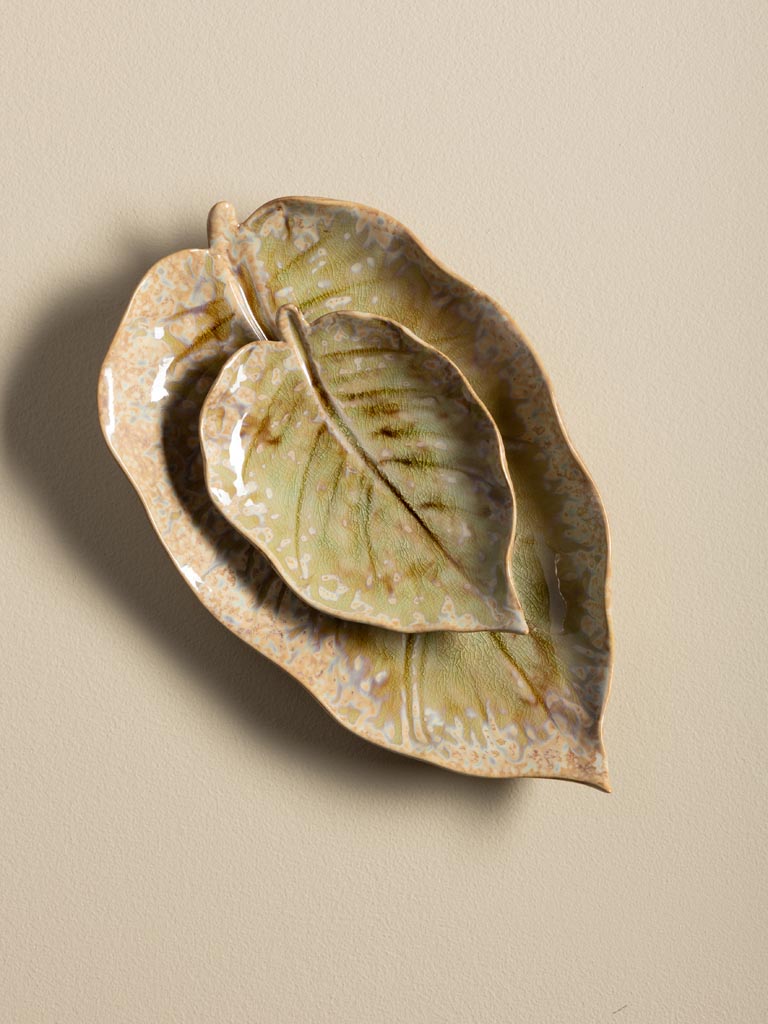 S/2 leaf dishes Nuance - 4