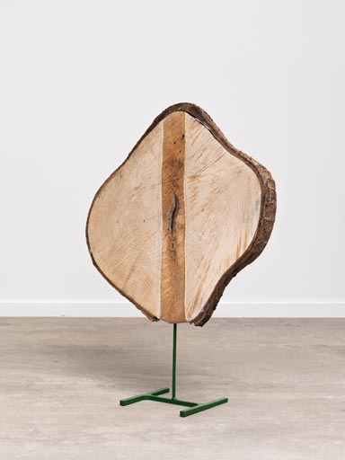 Sculpture  fer et bois massif Brechia 2