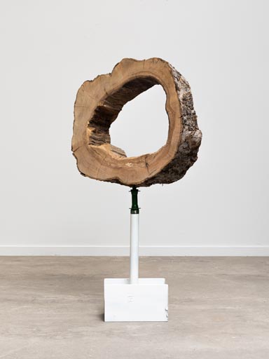 Sculpture  fer et bois massif Doline
