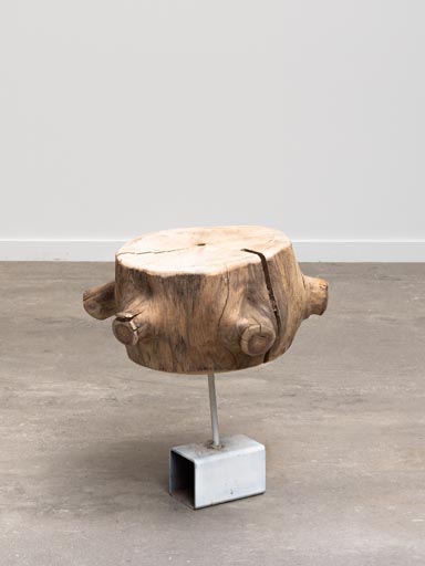 Sculpture  fer et bois massif Govern