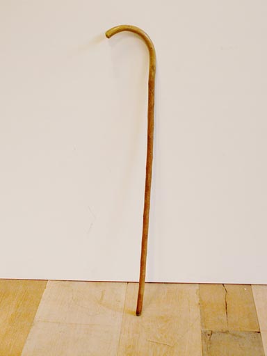 Old "Walking stick" w/badges